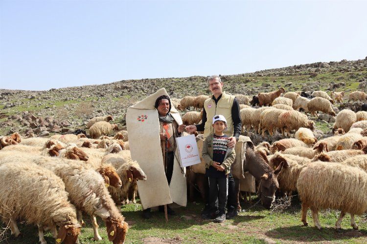 Kiliste meralarda otlatma mevsimi başladı