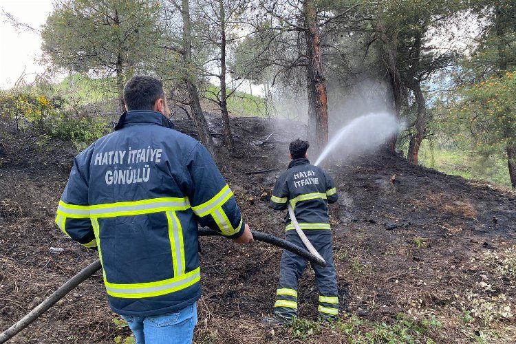 Hataydaki orman yangını gönüllü itfaiyeciler söndürdü