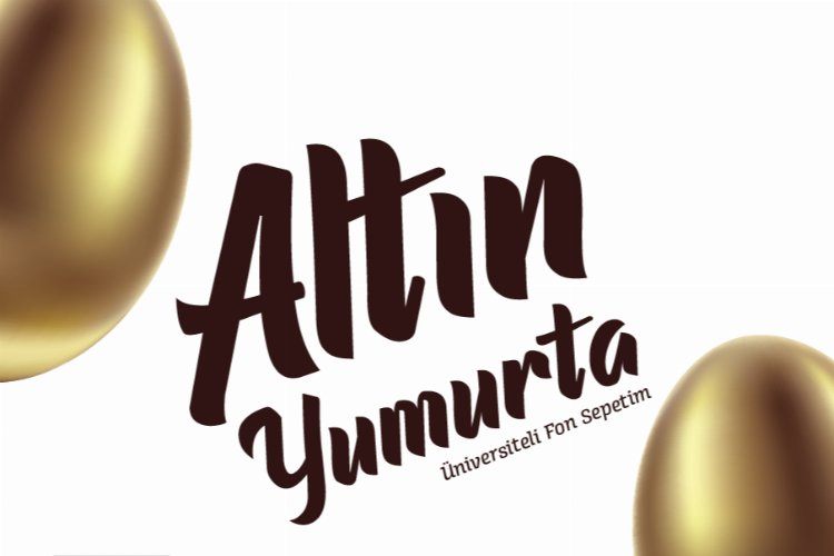 Üniversitelilere yönelik altın yumurta fonu