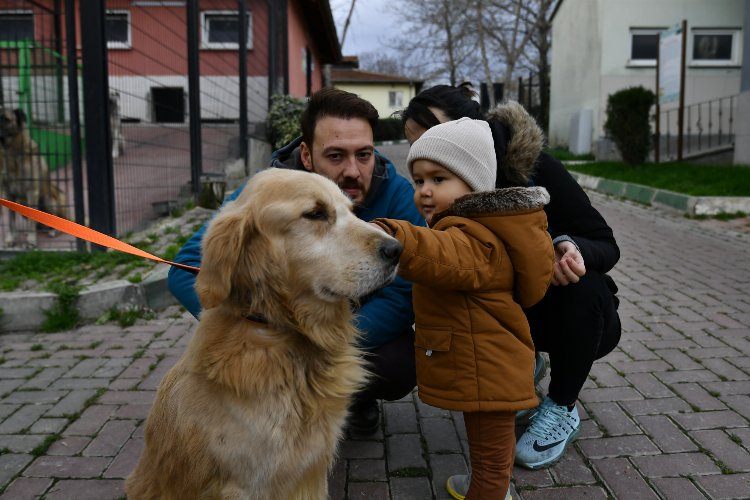 Bursa Osmangazide 78 can dost sıcak yuvaya kavuşturuldu
