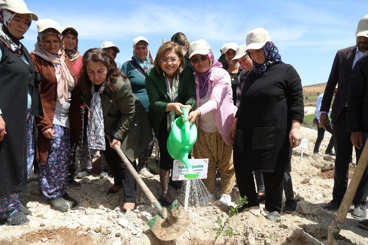 Gaziantepte 50 kadın çiftçi projeden yararlanacak 