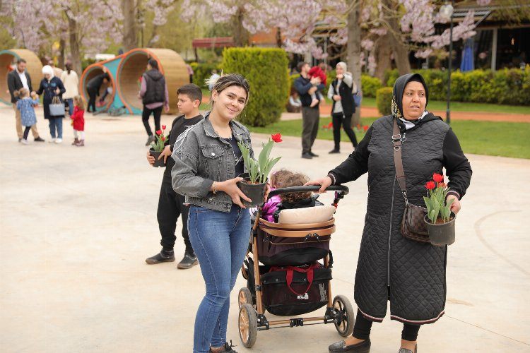 Gaziantepte baharın müjdecisi laleler 