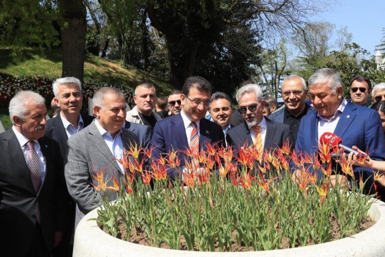 İstanbulda laleler açtı