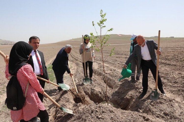 Kayseri Kocasinan Vuslat Ormanı ile nefes alacak 