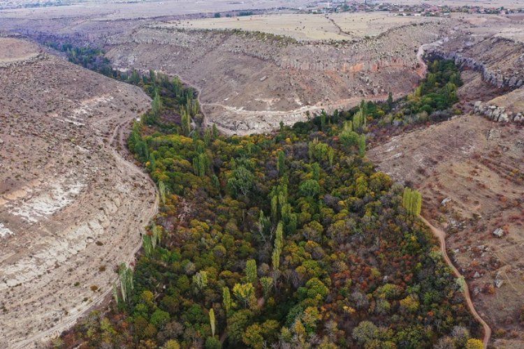 Kayseri Büyükşehirden Koramaz Vadisine özel çalışma
