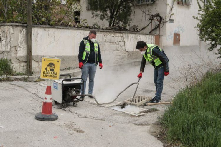 Kütahyada karasinek ve sivrisinek ilaçlama çalışması 