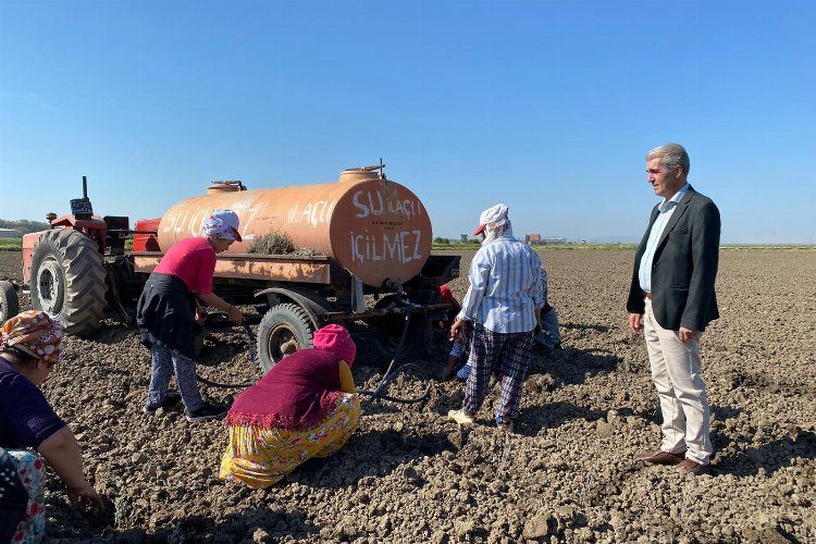 Edirne İpsalada çiçek üreticiliği başlıyor 