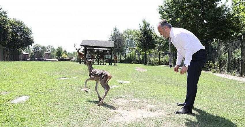 Bursa Zoopark, ‘zebra’daki konumunu güçlendirdi
