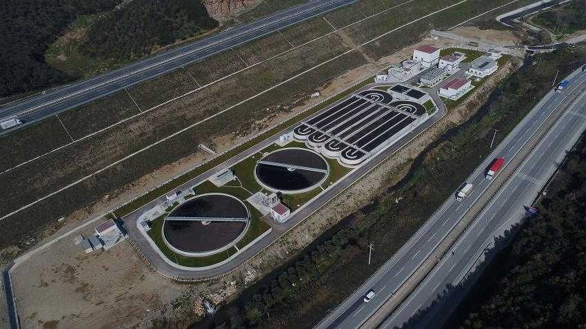 Gemlik Körfezi hayat buluyor