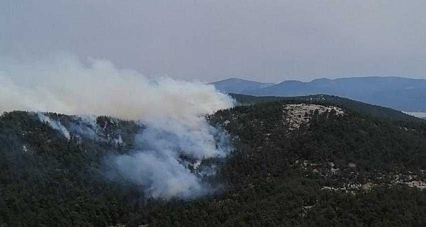 Muğla Milas’ta orman yangını