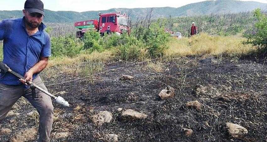 Bingöl’de ormanlık alanda çıkan yangın, büyümeden söndürüldü