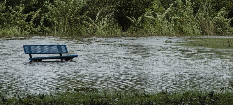 ABD’yi vuran Laura Kasırgası’nda can kaybı artıyor