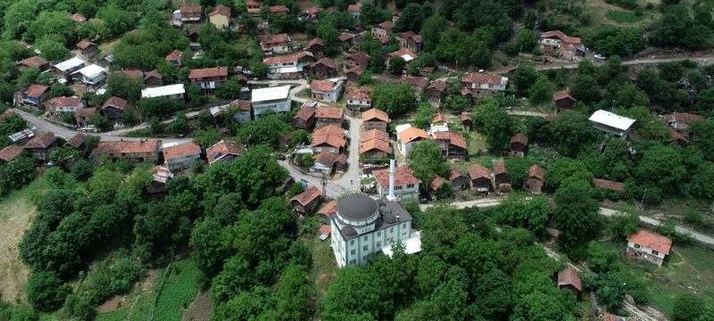 Bursa