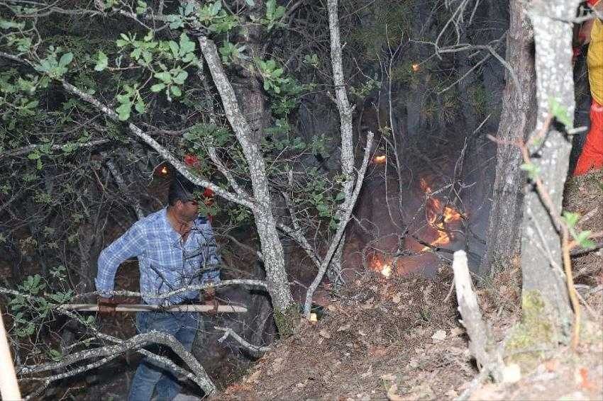 Taşova’da örtü yangını