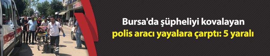 Bursa