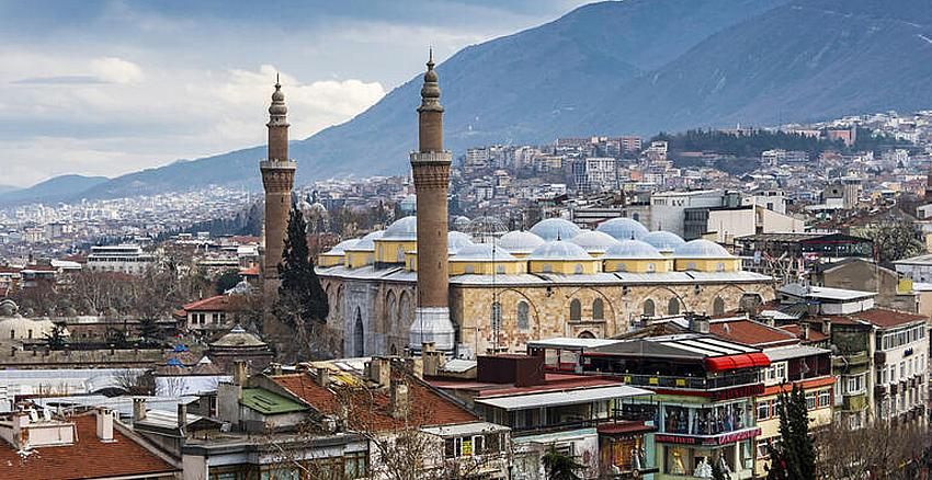 Bursa