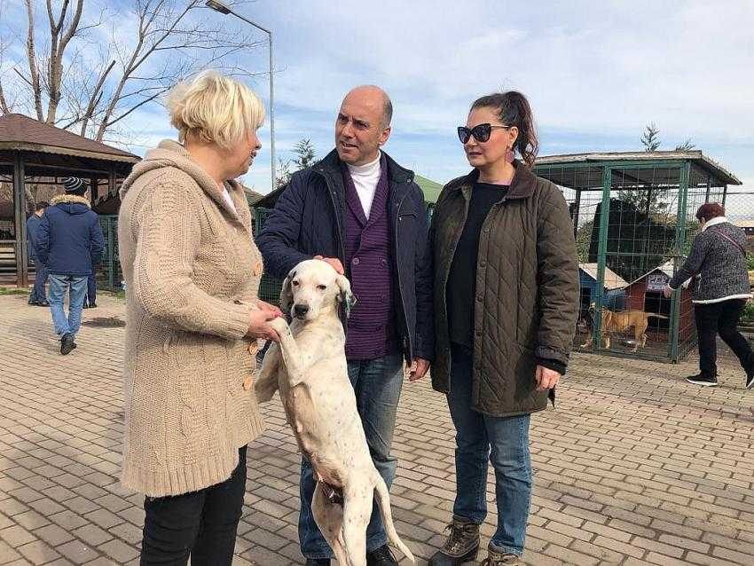 Dr. Ahmet Murat Ünal, hayvanseverlerle buluştu