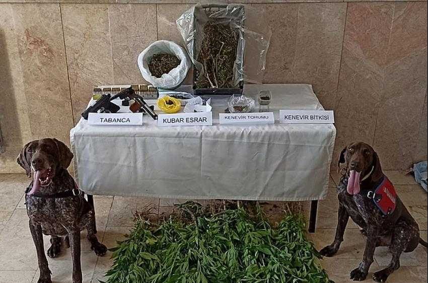 Uyuşturucu tacirlerine köpekli aramada suçüstü