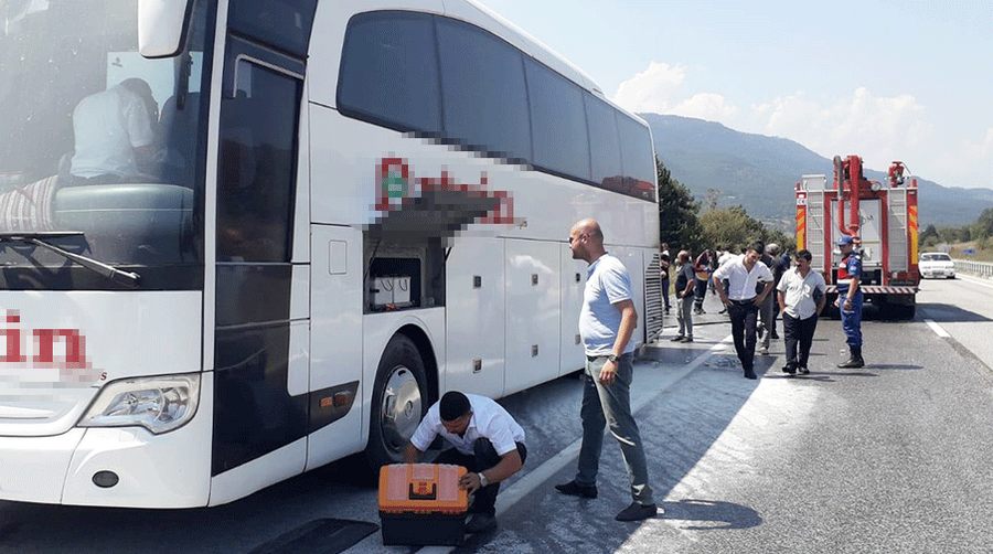 Bursa