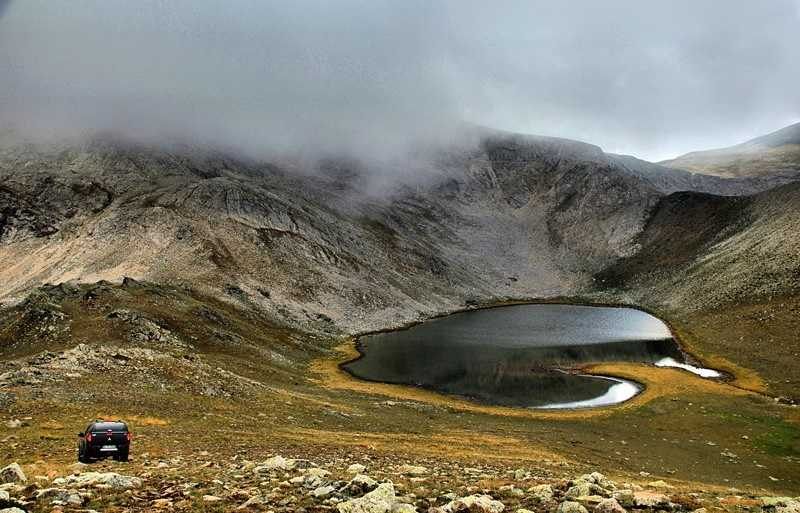 Bursa
