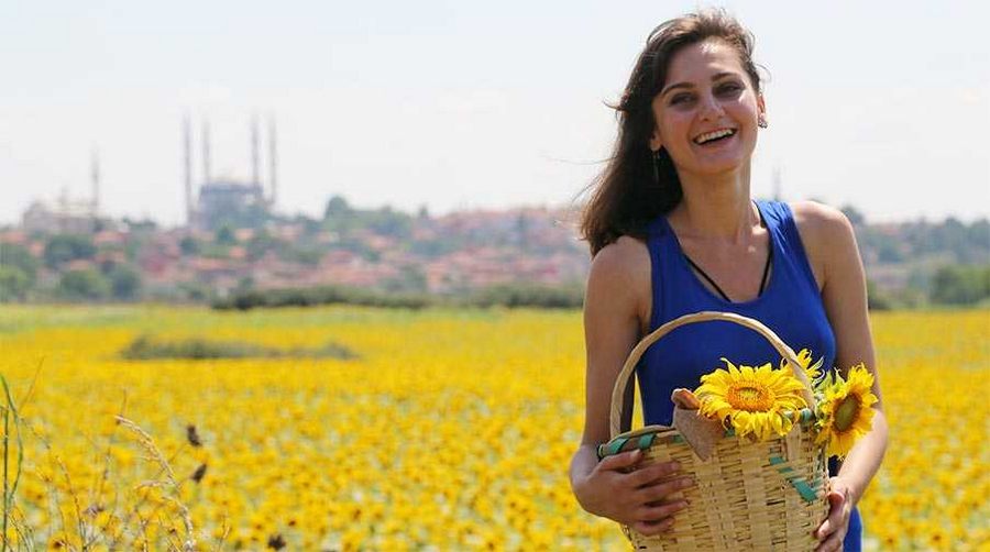 Ayçiçeği tarlalarında foto safari