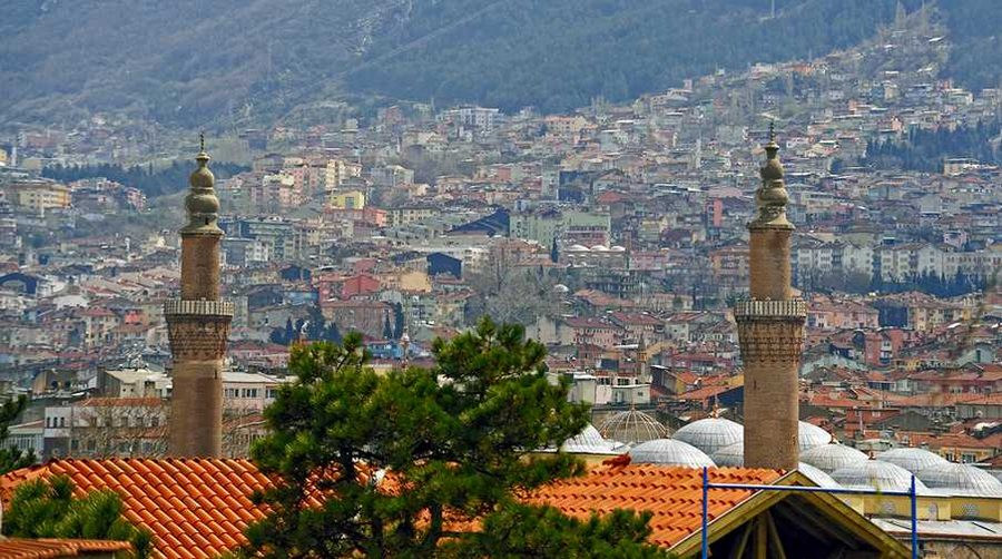Bursa