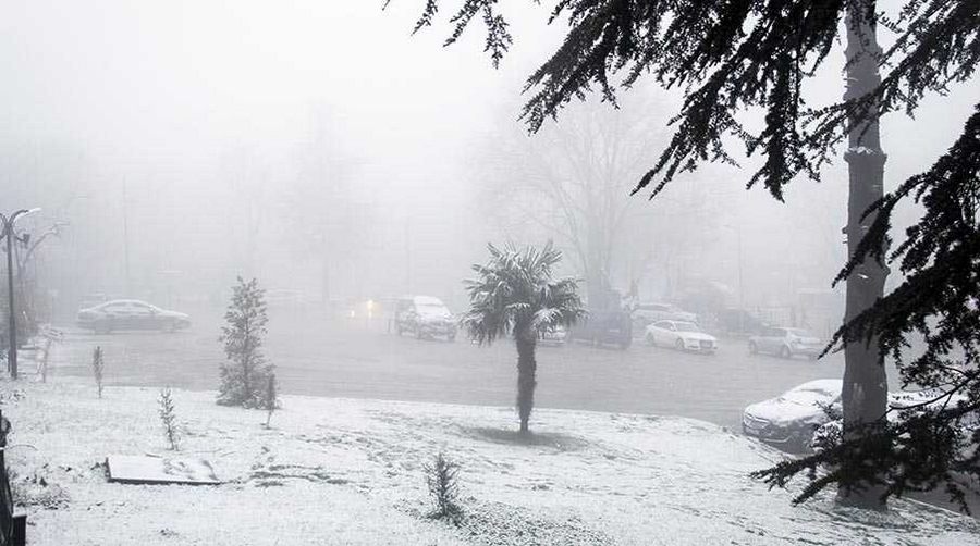 Bursa