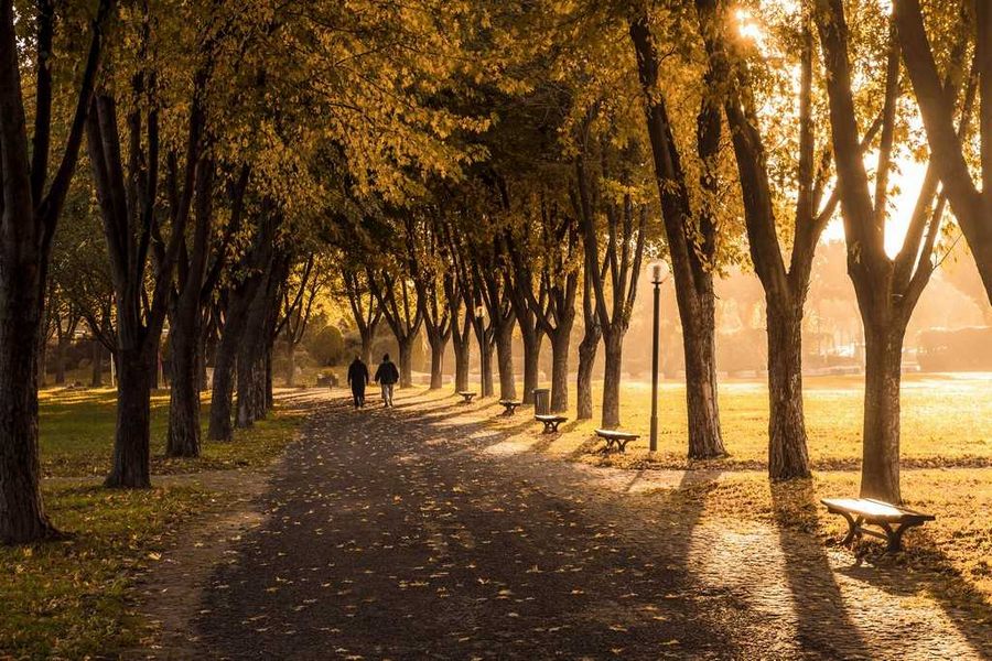 Sonbaharın serin kollarında içinizi ısıtan Bursa manzaraları...