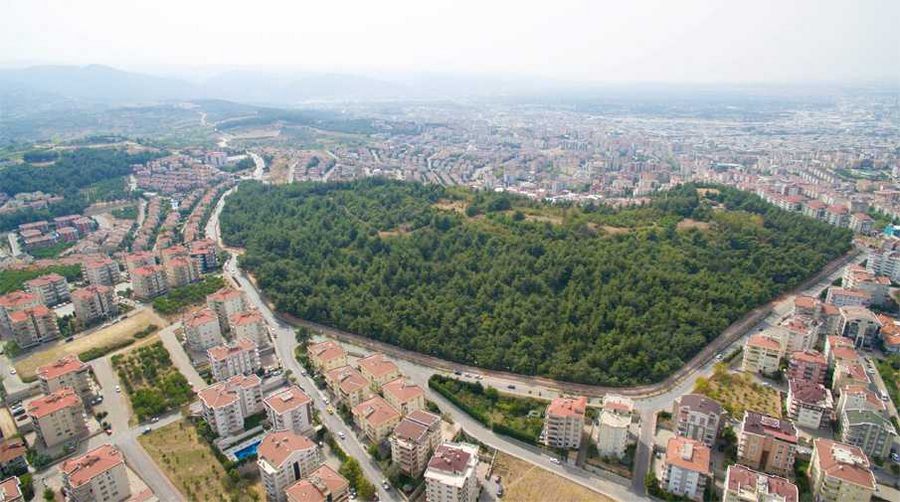 Recep Altepe
