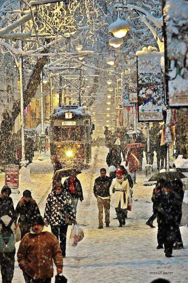 Bursa