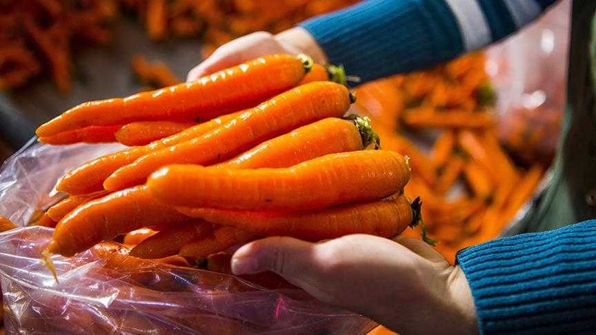 Mayıs ayının zam şampiyonu havuç