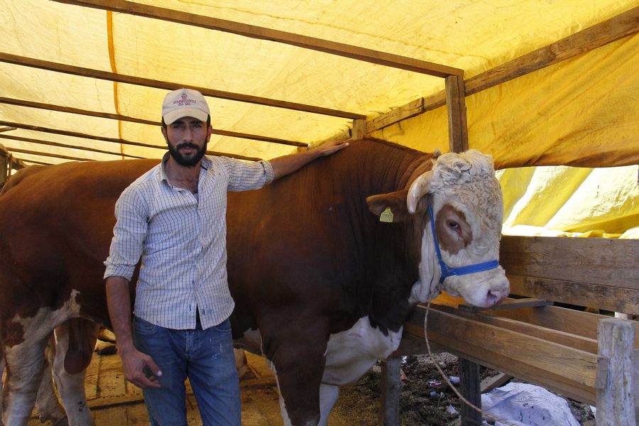 Bursa