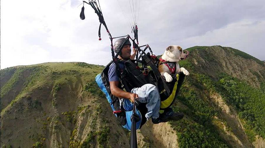 Köpeğiyle beraber gökyüzüyle buluştu