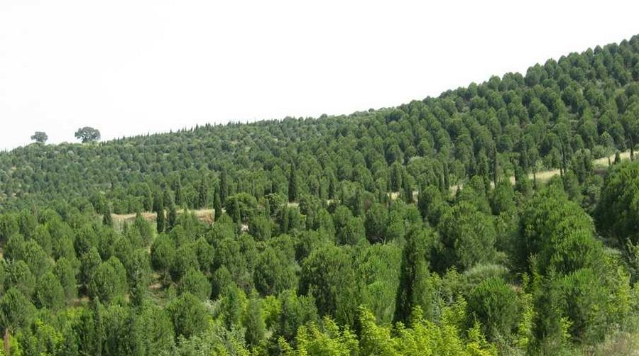 Marmara Adası