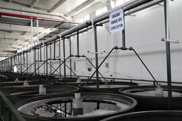 Marmarabirlik depolama kapasitesini 100 bin tona çıkaracak