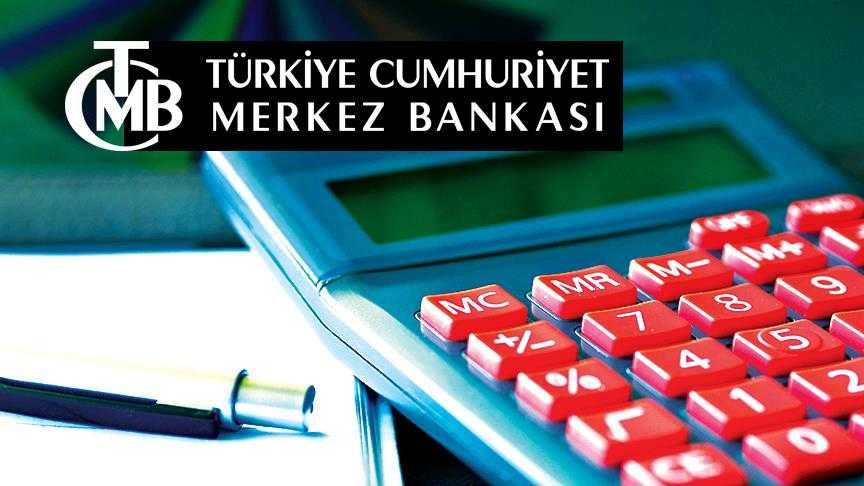 Dalgalı döviz kuru rejimi uygulaması devam edecek