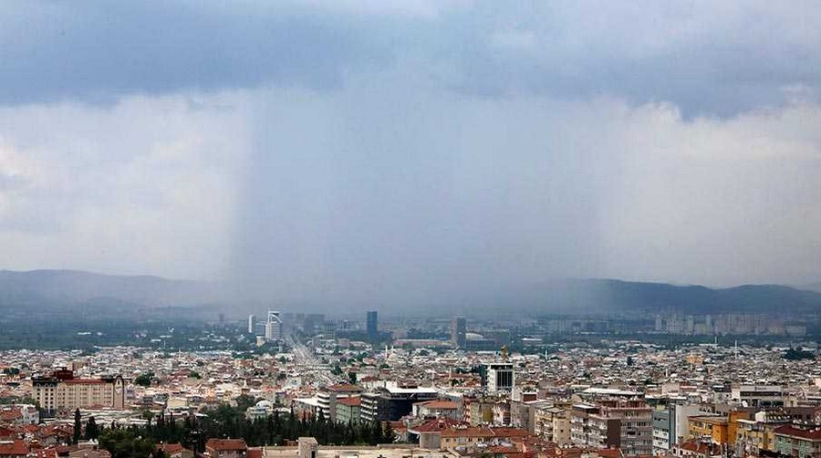 Bursa