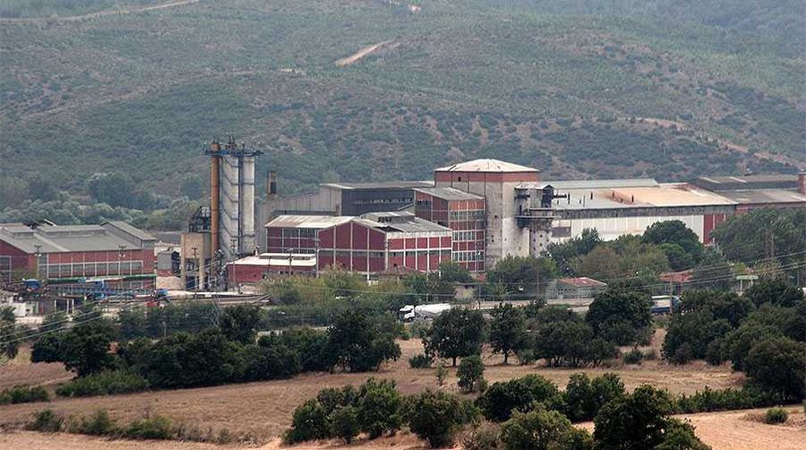 Susurluk Şeker