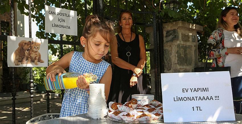 Başkan Erdem’den hayvan dostu Ada’ya ziyaret