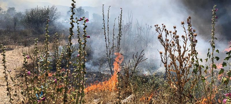Bursa’da anız yangınları tehlike saçıyor