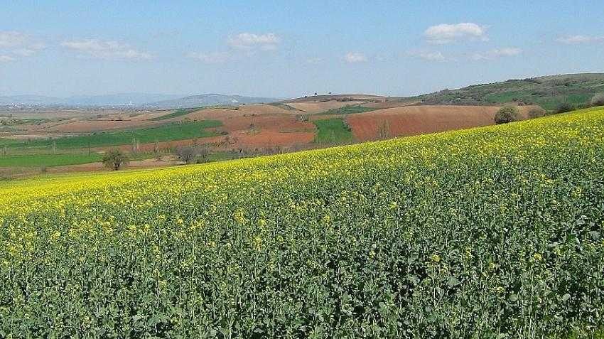 Çiftçiler üretmeye devam ediyor
