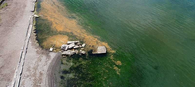 Gemlik Körfezi