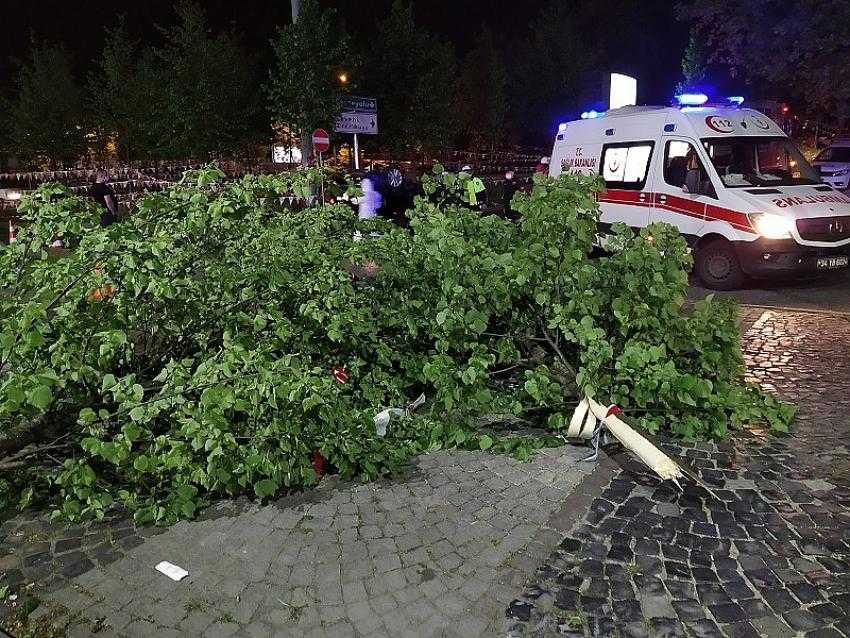 Makas attığı ileri sürülen otomobil takla atarak iş yerinin bahçesine girdi: 3 yaralı