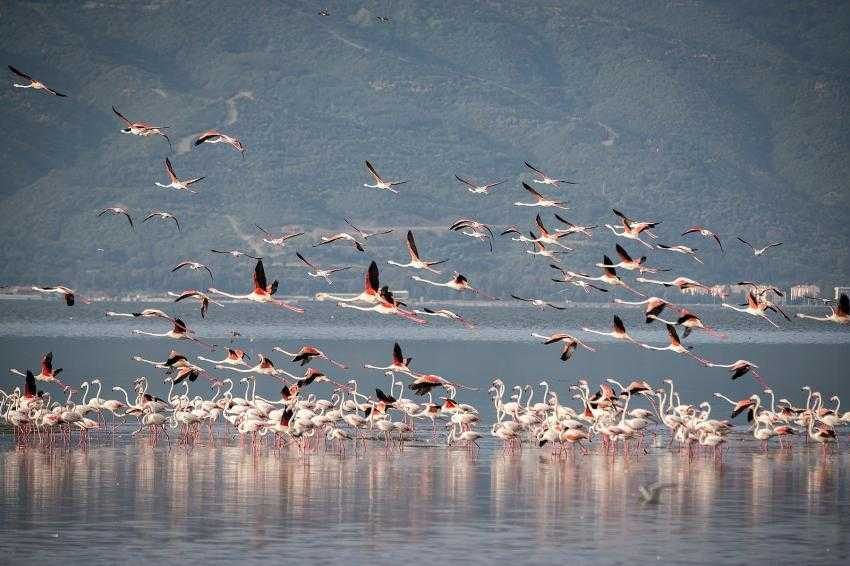 Gediz Deltası’nın güney kesimine ‘Doğa Rotası’