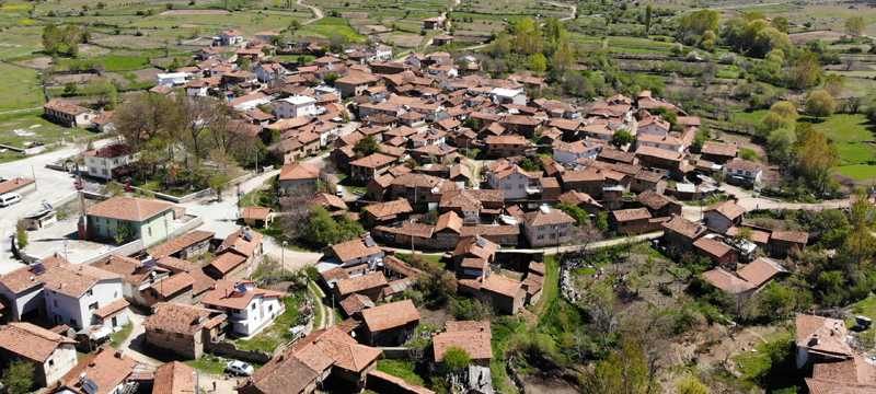 Bursa