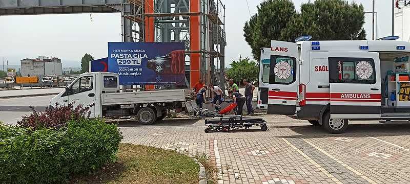 Bursa