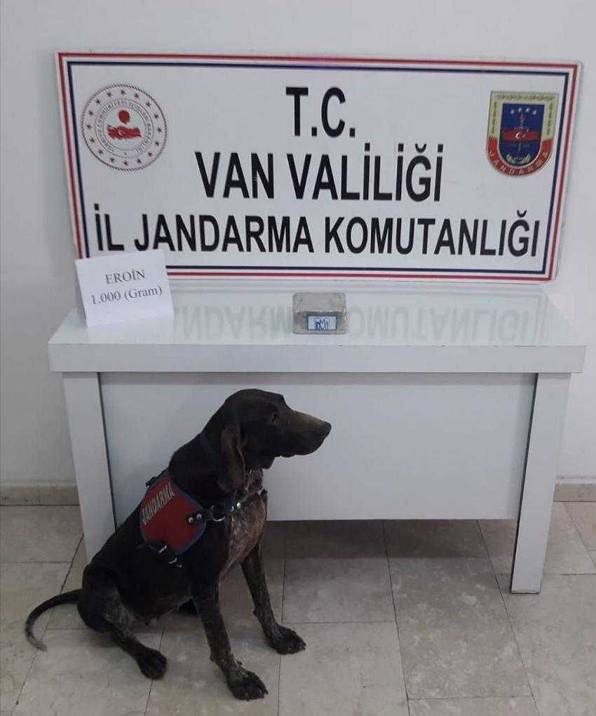 Erciş’te toprağa gömülü eroini Rasif buldu