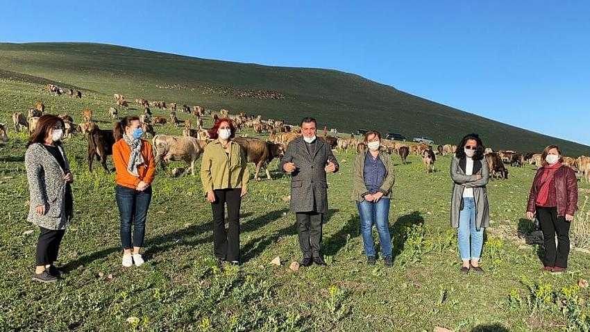 Ardahan’dan İzmir’e et sevkıyatı başladı