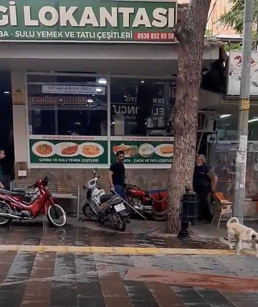 Manisa’da sokak köpeğini sopayla döven adama ceza yağdı