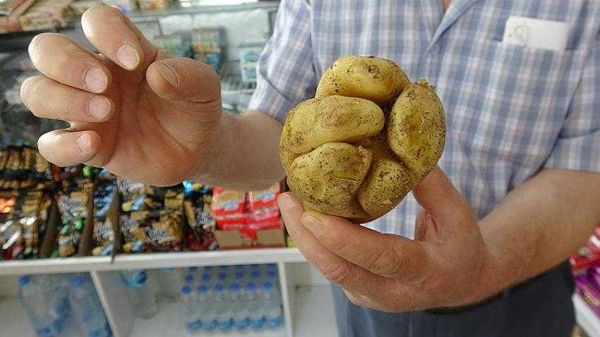 Yumruk değil 